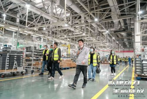 合規(guī)藍(lán)牌輕卡自主品牌發(fā)動(dòng)機(jī)崛起 能否成為用戶(hù)首選動(dòng)力及投資管理展望